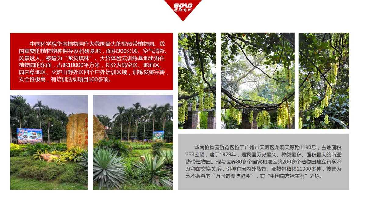 “中国南方绿宝石”——华南植物园-搏翱拓展