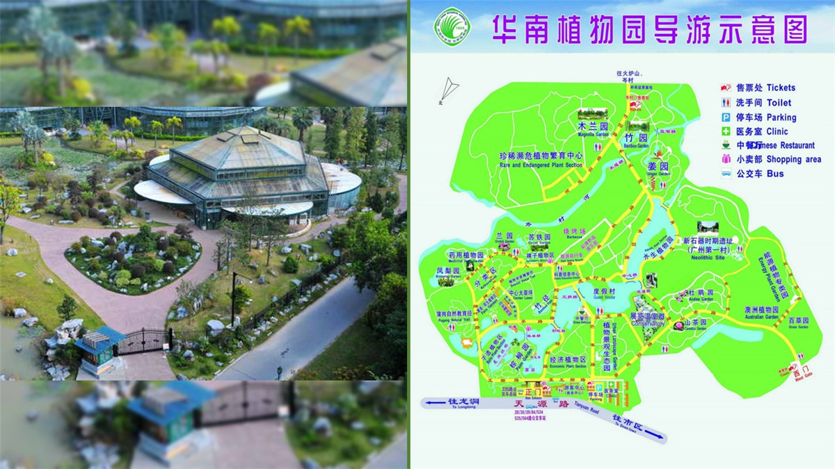 “中国南方绿宝石”——华南植物园-搏翱拓展