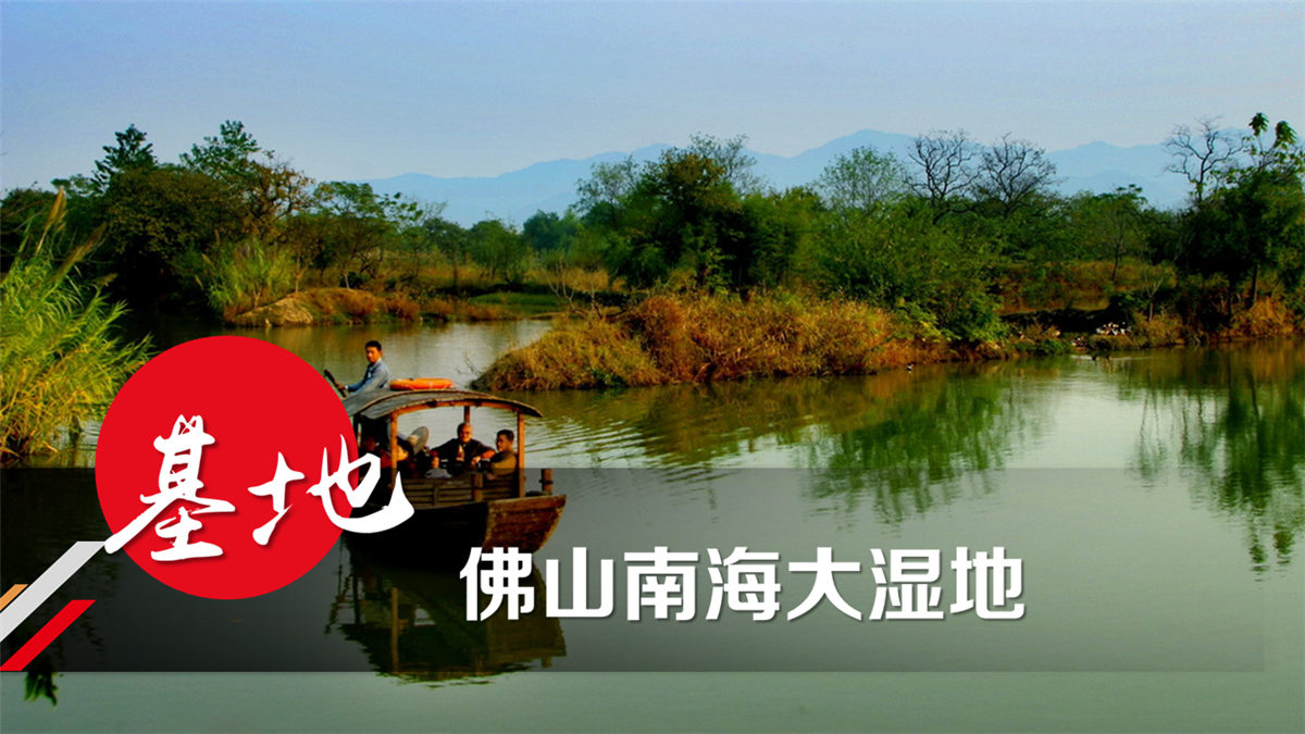 佛山南海大湿地金沙滩户外拓展基地