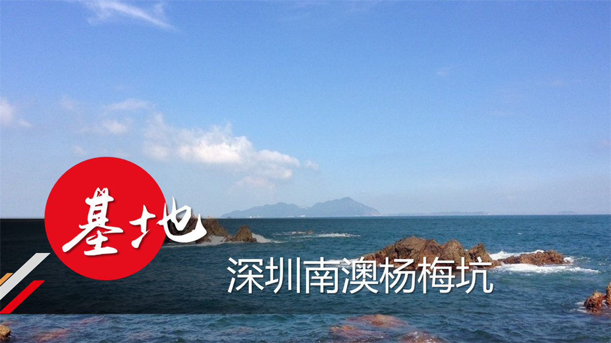 深圳南澳杨梅坑拓展训练基地