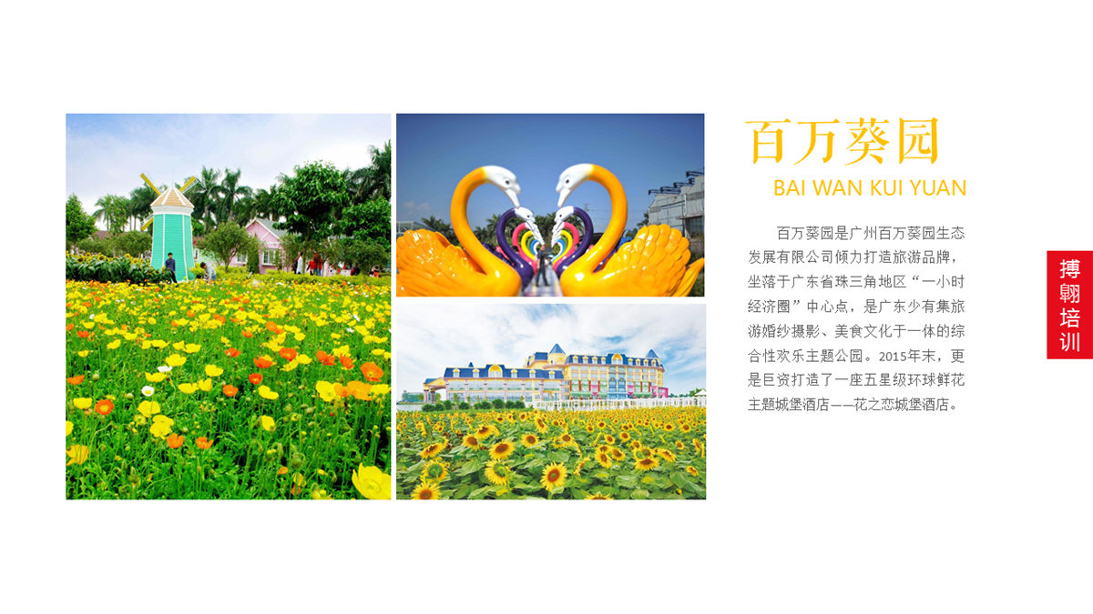 广州南沙百万葵园
