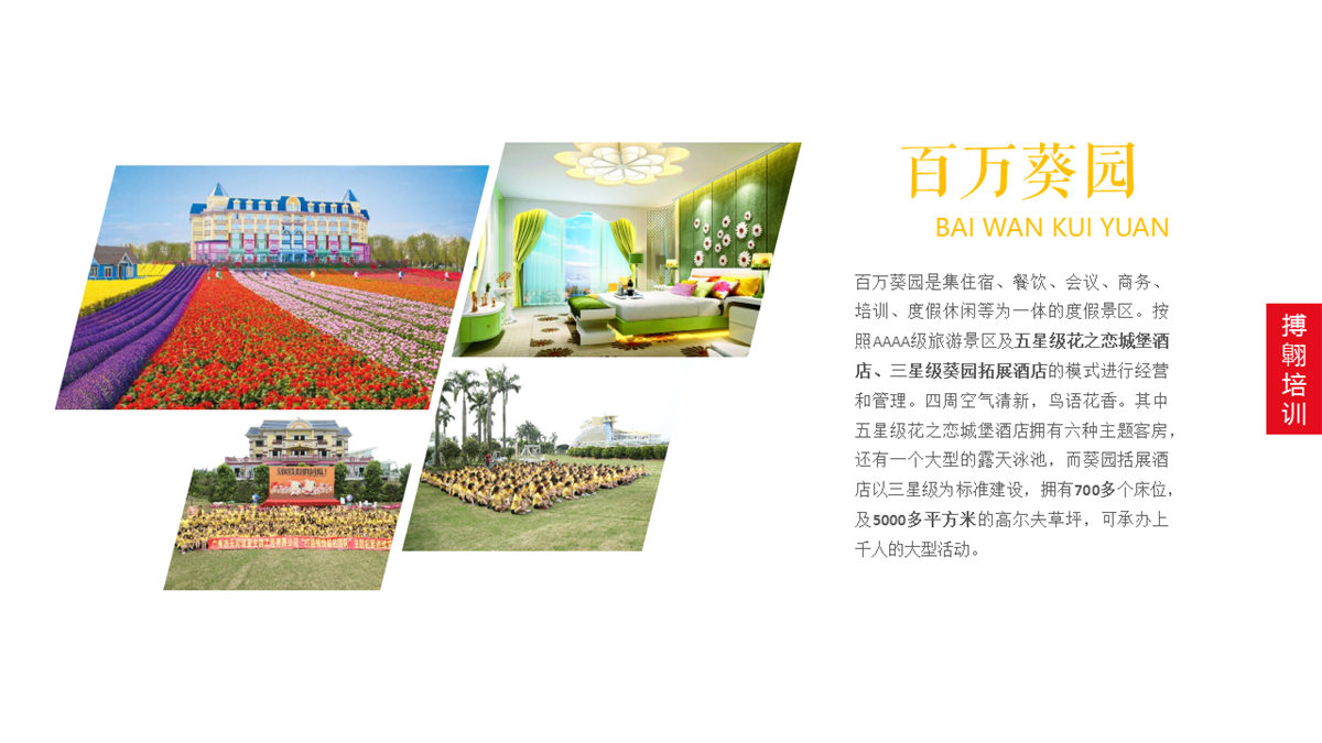 广州南沙百万葵园
