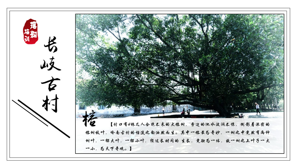 佛山三水长岐古村