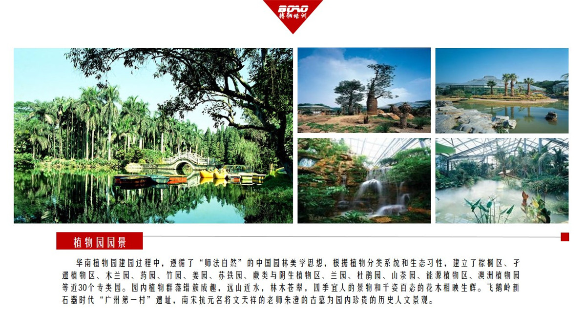 “中国南方绿宝石”——华南植物园-搏翱拓展